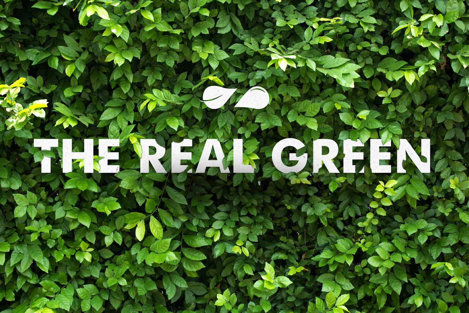 The Real Green